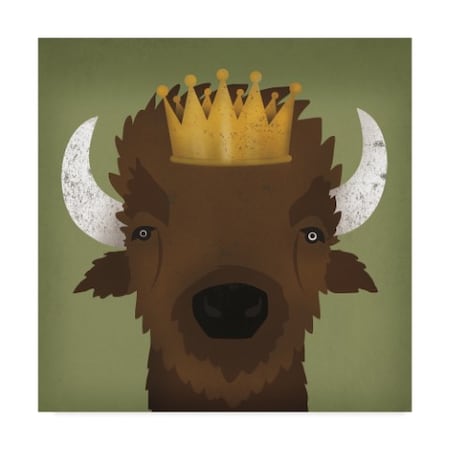 Ryan Fowler 'Buffalo Iii With Crown' Canvas Art,14x14